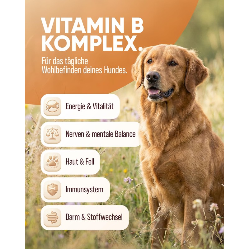 Tierkraft Vitamin B Complex for Dogs, 100 Tablets, Complex B