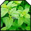 Lemon Balm 200 g - Lemon Balm Tea - Melissa