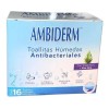 Toallitas Húmedas Antibacterial Ambiderm C/160pz ( 10 Cajas)