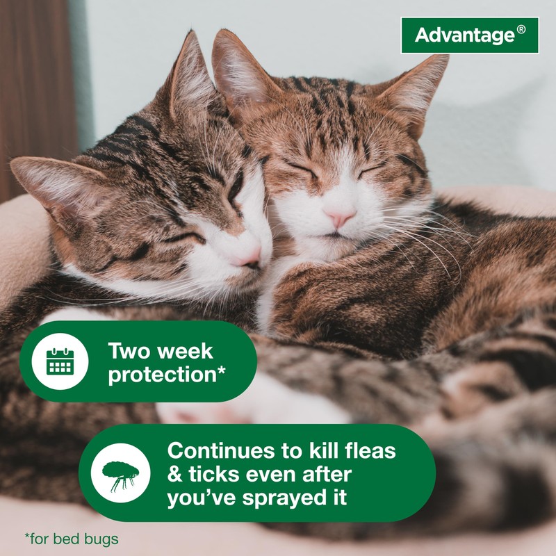Advantage Household Spot & Crevice Spray | Kills Fleas &