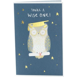 UK Greetings Exams Congratulations Card - Passing Exams Card - Well Done on Exams Card - You Passed Your Exams Card - GCSE, A Level, University Exams Card Multi, 640961-0-1