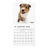 THE DOG 2026 Wall Calendar, Mini Size, Shetland Sheepdog