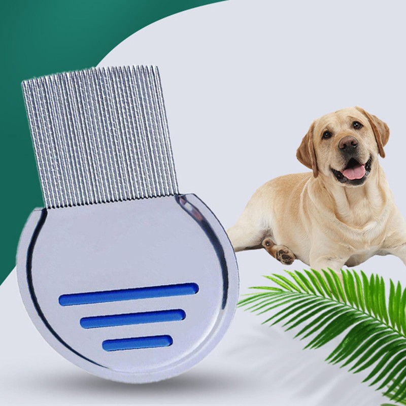  2-Pack Stainless Steel Lice & Nit Combs C Dual-Sided