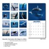 2026 Wall Calendar Whale Planner Calendar, Hangable Monthly Wall Calendar
