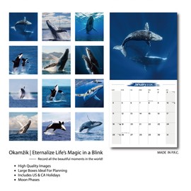 2026 Wall Calendar Whale Planner Calendar, Hangable Monthly Wall Calendar with Large Blocks for Organizing & Planning, Academic Schedule, Home, Office & family, Thick & Sturdy Paper (12"x24" Open)