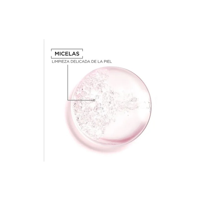 Agua Micelar Skinactive Todo En 1 Facial Garnier 100ml