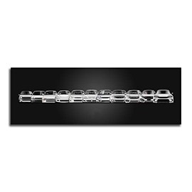 Civic Evolution Car Automobile Art Poster Paper 16x48 inch