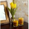 Hyoola Beeswax Votive Candles - Handmade, All Natural, 100% Pure