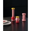 Alessi Totem Domestici ES18 2 - Design Salt, Pepper and
