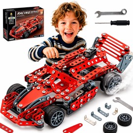 DIYBee Metal Model Car Kit, 287 Pcs STEM Building Toy