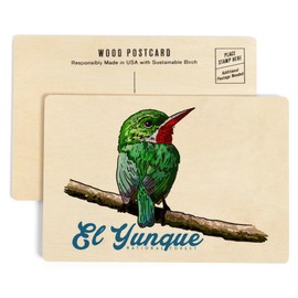 Puerto Rico, Tody, El Yunque National Forest (4x6 Birch Wood Postcards, 2-Pack Stationary, Rustic Home Wall Decor)