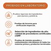 Enzimas digestivas con probiticos. Suplemento multienzimtico natural avanzado para una
