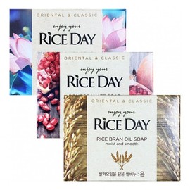 Lion Rice Day Soap 100g 12pcs Choose 1 Face Wash tax office