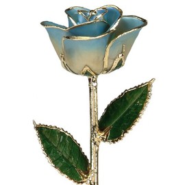 24k Gold Rose - Real Rose Dipped in Gold (2-Tone Light Blue)