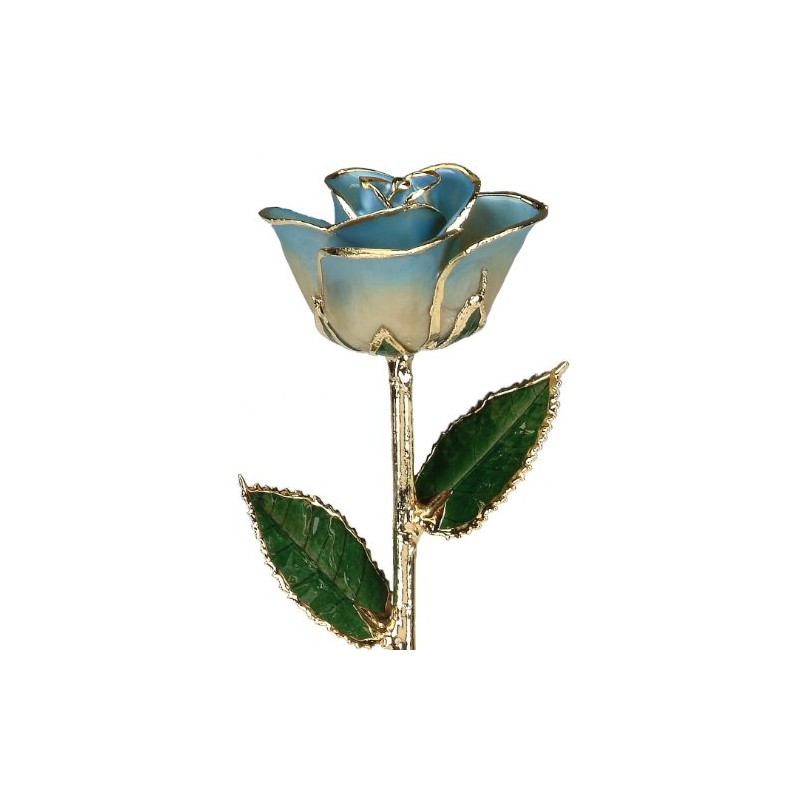 24k Gold Rose - Real Rose Dipped in Gold (2-Tone