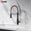 GIMILI Black and Gold Kitchen Faucet with Pull Down Sprayer