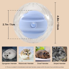 PETFROH 3-in-1 Hamster Ball 4.8 Inch Detachable Hamster Wheel Racing Car Toy