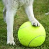 PROtastic Extra large tennis ball - with free ball pump