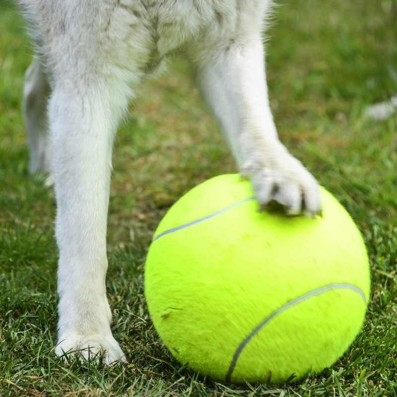 PROtastic Extra large tennis ball - with free ball pump