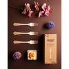 FOOGO Green 100pcs Elegant Disposable Wooden Forks, FSC® Certified, 100x