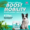 Bailey & Buddies Hip and Joint Supplement for Dog, 120