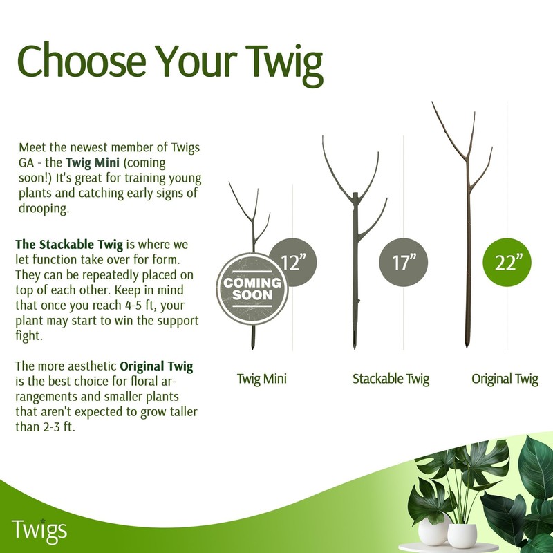 Twigs GA - Plant Support Stakes for Indoor & Outdoor
