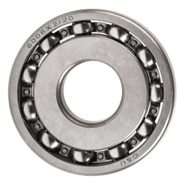 ITALIKA E06010104 Balero Radial Bolas 6006 x 2/20, Gris