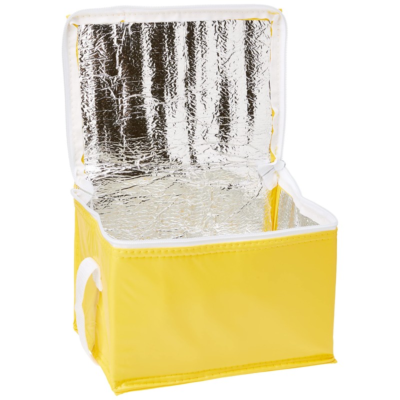 eBuyGB Lunch BBQ Camping Can Cooler Picnic Bag Box, Polyester,