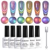 RARJSM 9D Chameleon Glass Cat Eye Gel Nail Polish Set