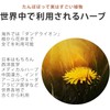 noi マリアアザミ トライアルパック ミルクシスル サプリメント カプセル 携帯用にも