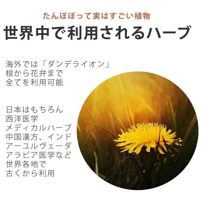 noi マリアアザミ トライアルパック ミルクシスル サプリメント カプセル 携帯用にも