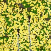 Relaxdays Set of 2 Garden Sprinklers with Ground Spike 6