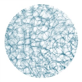 Sizoweb Shapes - Place Mats - Place Mats - Decorative Pads - Pack of 12 - 64 (Sizoweb Circle, Turquoise)