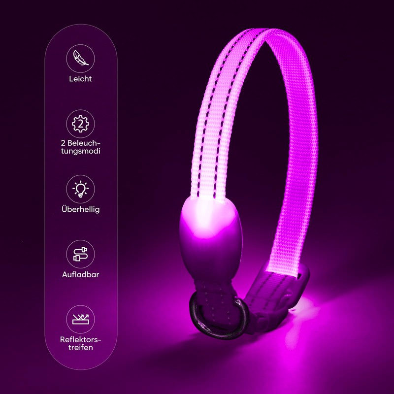 LED Luminous Dog Collars (Purple, XS)