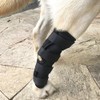 MinniLove Supporter for Dogs, Cats, Pets, Foot Protector, Protective Bandage,