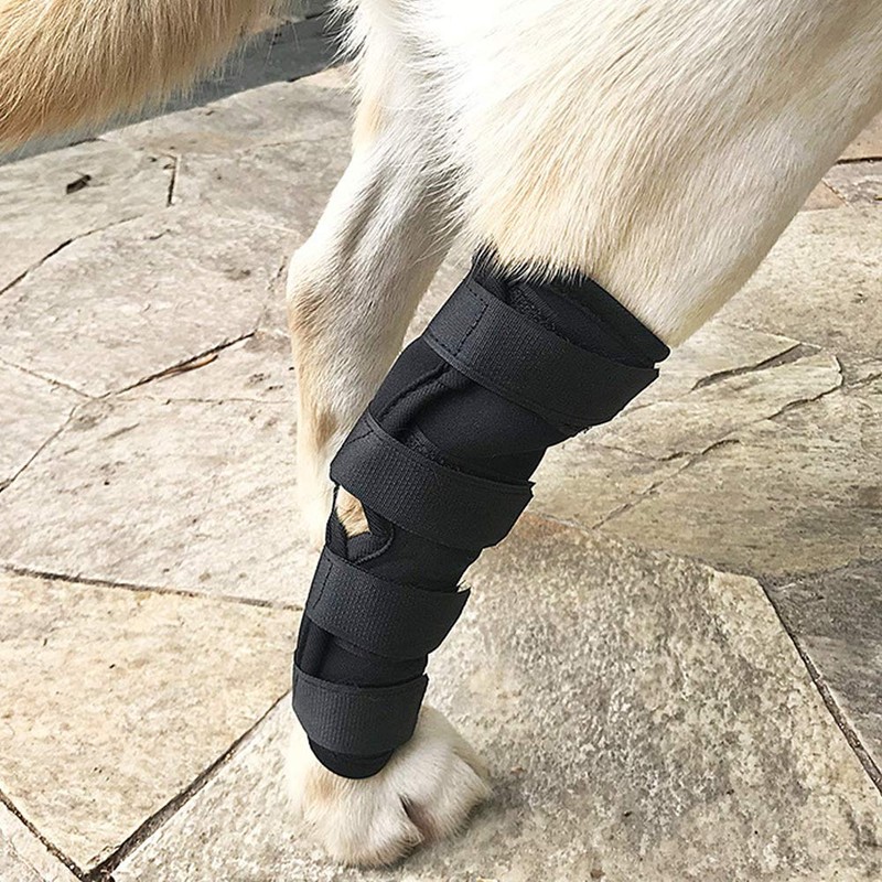 MinniLove Supporter for Dogs, Cats, Pets, Foot Protector, Protective Bandage,