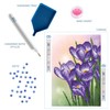 DIAMOND DOTZ Spring Crocus Diamond Painting Kits for Adults -