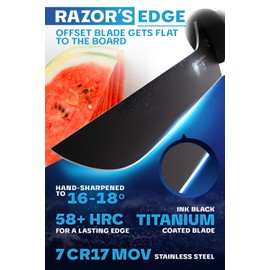 Dalstrong Slicing & Carving Fillet Knife - 10 inch - Night Shark Series-7CR17MOV High Carbon Steel-Titanium Coated-Fillet Knife for Fish & Meat Slicer - Polypropylene Handle - Sheath- NSF Certified