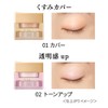 Coffredor 3D Trans Eye Base 02 Eyeshadow, 0.1 oz (3.3
