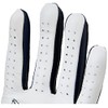 Footjoy FJ Spectrum - Golf Gloves for Left Hand Color: