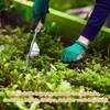 badaren Stainless Steel Weeder Manual Weeder Weeder with Wooden Handle