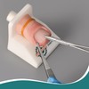 MedEduQuest Ingrown Toenail Trainer Kit with Base,Ingrown Toenail Simulator for