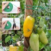 YDSL 100 Feet Soft Tie for Plants, Green Twist Garden