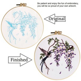 Embroidery Kit for Adults Beginners Starter Stitch Kit with Flying Hummingbird Purple Flowers Pattern Handmade Needlepoint Kits