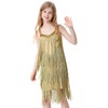 Cuecutie Kids Sequin Fringe Dress Sparkling Tassel Sleeveless Latin Dance