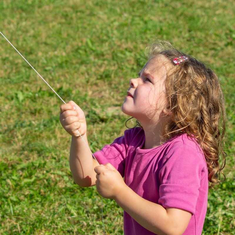 CIM Single Line Dragon, Gradient Eddy Lizard, for Children from