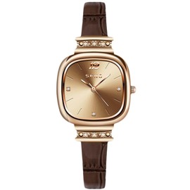 RORIOS Women Minimalist Watches Mini Small Square Wristwatch Analogue Quartz Watch Ladies Elegant Wrist Watch with Leather Strap Brown