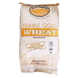 Wheat Montana - Prairie Gold Wheat Berries - 1 pack - 50lb bag