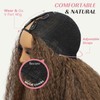 EINAEY V Part Wig Afro Curly Synthetic Kinky Curly V