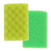 Carlinea 011213 Démoustiqués Biface Wash Sponge